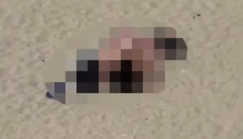 본문 이미지 - (JTBC '사건반장' 갈무리)