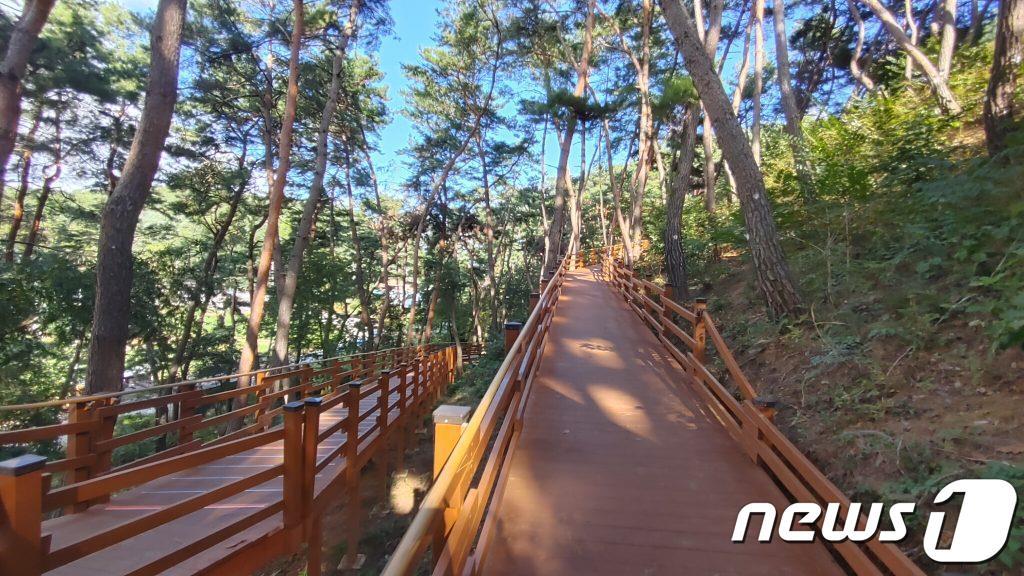 본문 이미지 - 홍천군 무궁화테마파크 일원에 조성된 ‘무장애나눔길’.(홍천군 제공) 2023.5.25/뉴스1
