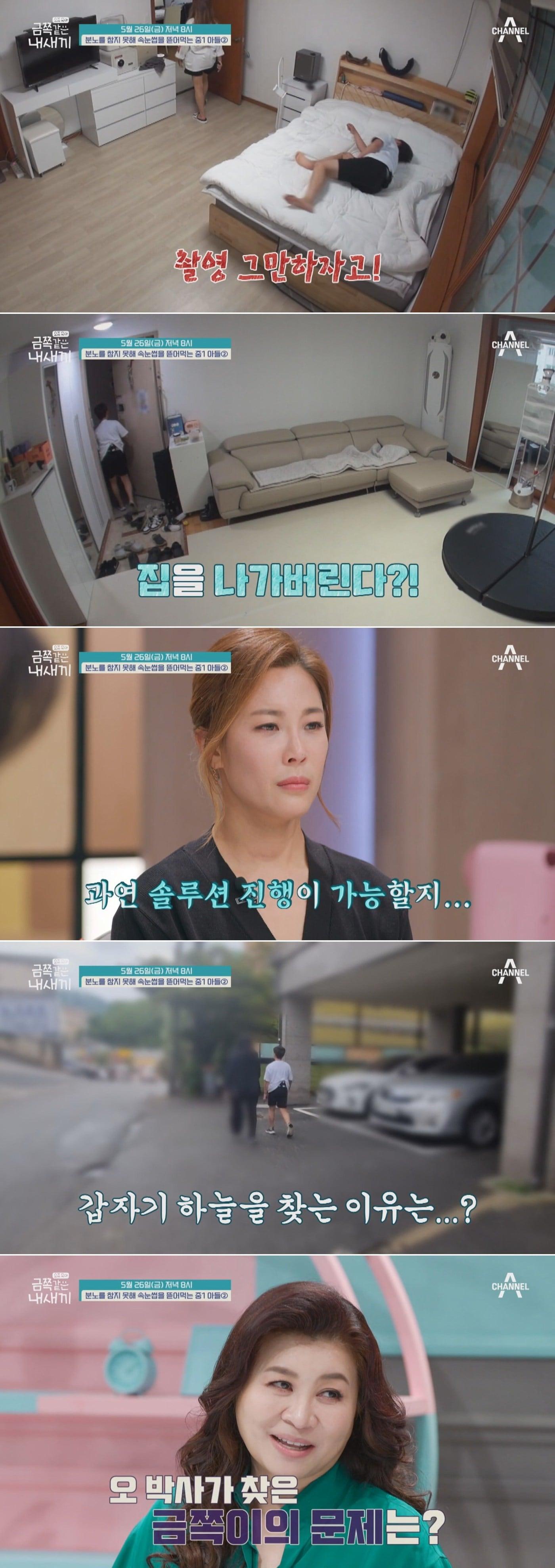 본문 이미지 - 채널A