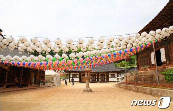 본문 이미지 - ‘더 글로리’ 촬영지인 파주 보광사 대웅전 앞.(경기관광공사 제공)/