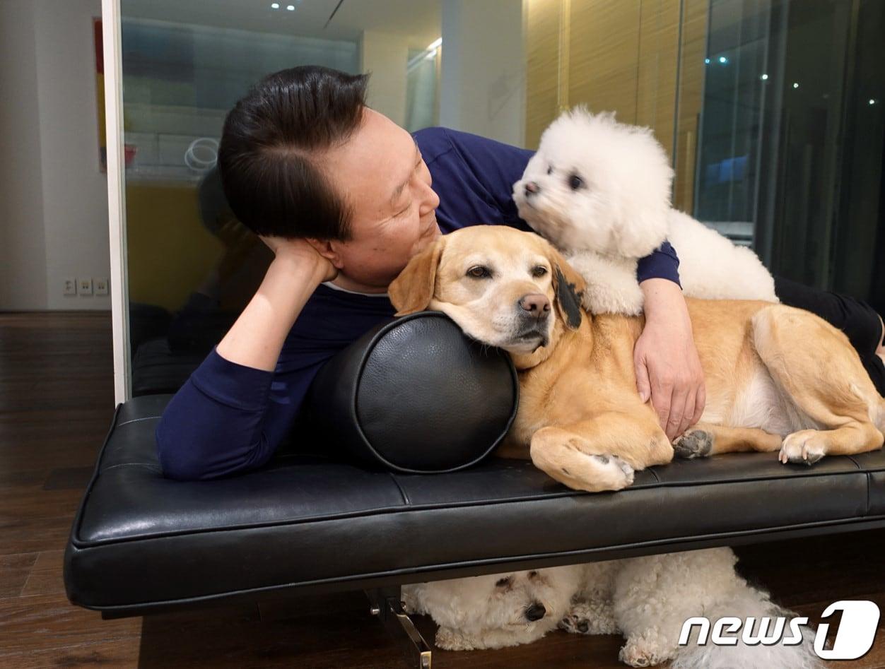 본문 이미지 - 2023년 3월, 관저에서 반려견과 휴식을 취하는 윤 대통령 모습. (대통령실 제공) 2023.5.27/뉴스1 ⓒ News1 오대일 기자