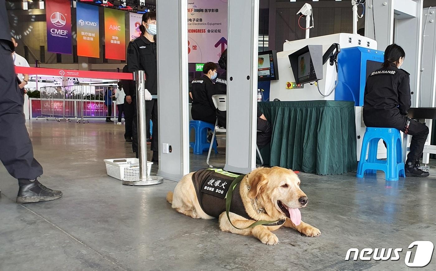 본문 이미지 - 14일 중국 상해 국가회전중심(국제컨벤션센터)에서는 의료기기 전시회 '2023 CMEF'가 열렸다. ⓒ 뉴스1 최서윤 기자