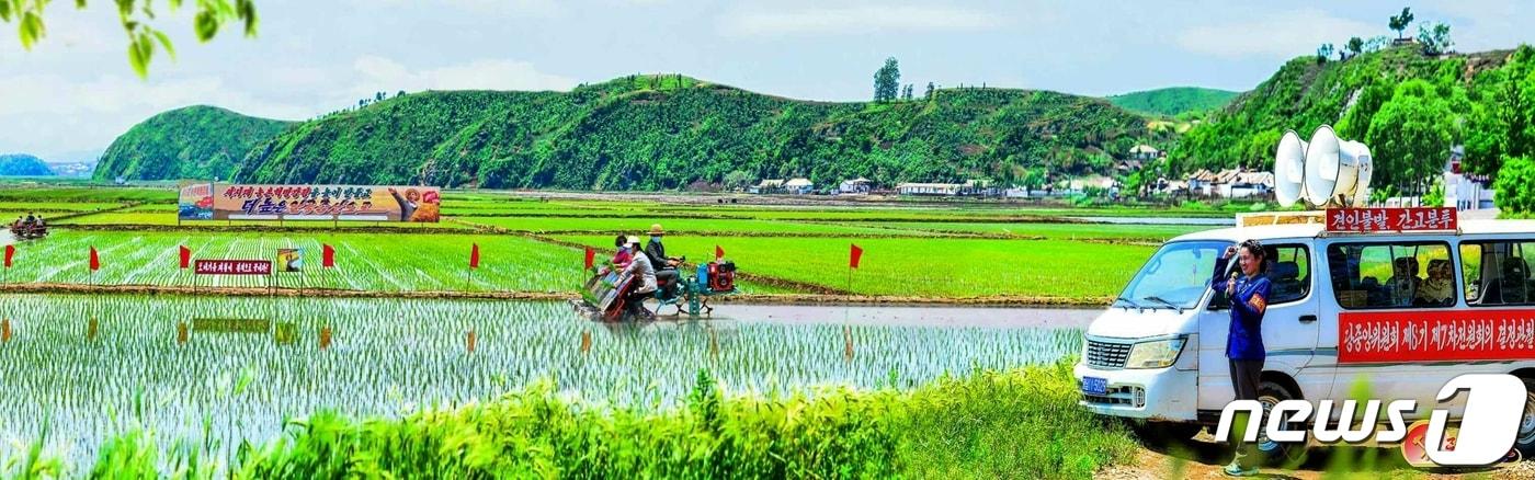 본문 이미지 - (평양 노동신문=뉴스1) = 북한 노동당 기관지 노동신문은 31일 "올해 알곡 생산 목표 점령을 인민경제 발전 12개 중요고지의 첫 번째 고지로 내세운 당 중앙의 숭고한 의도를 깊이 새기고 분발해 나선 이들의 헌신적인 투쟁에 의해 29일 현재 전국적으로 1000여개의 농장이 기본면적의 모내기를 결속했다＂면서 ＂그 수는 계속 늘어나고 있다＂라고 보도했다. [국내에서만 사용가능. 재배포 금지. DB 금지. For Use Only in the Republic of Korea. Redistribution Prohibited] rodongphoto@news1.kr