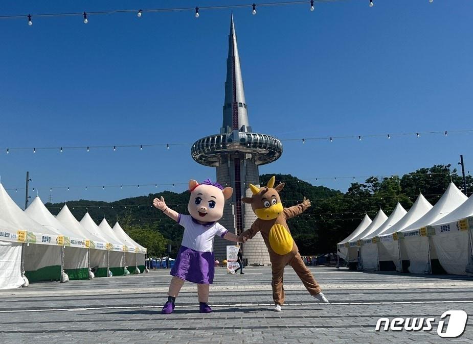 본문 이미지 - 홍성한우가 페스티벌이 열리고 있는 대전 한빛탑 광장.(홍성군 제공)/뉴스1