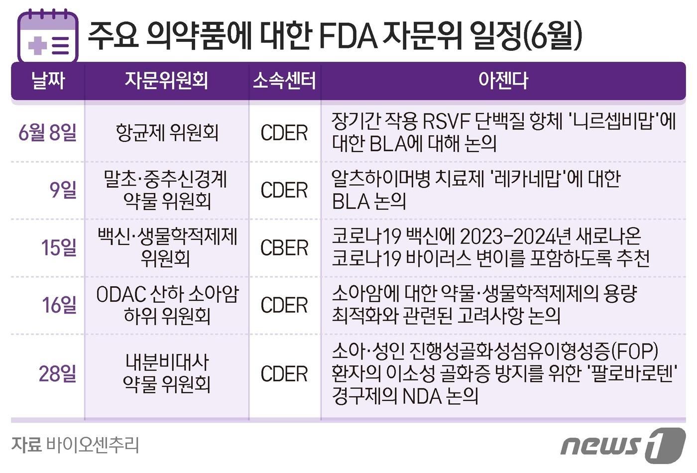 본문 이미지 - ⓒ News1 양혜림 디자이너