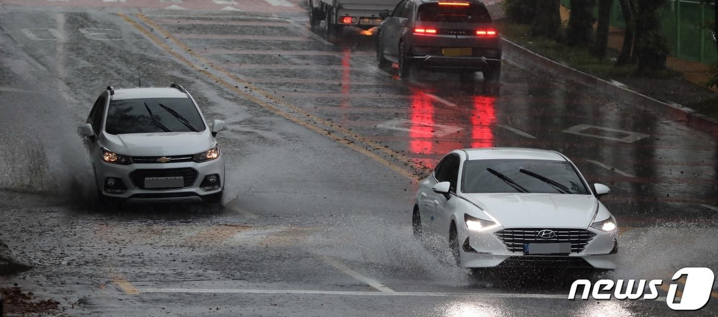 비 내리는 제주&#40;자료사진&#41;/뉴스1