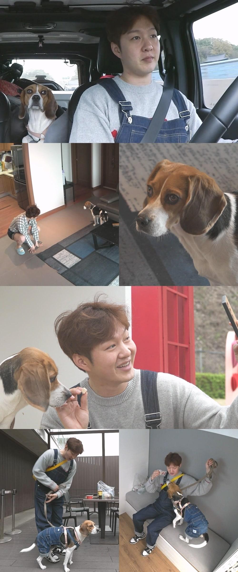 본문 이미지 - MBC