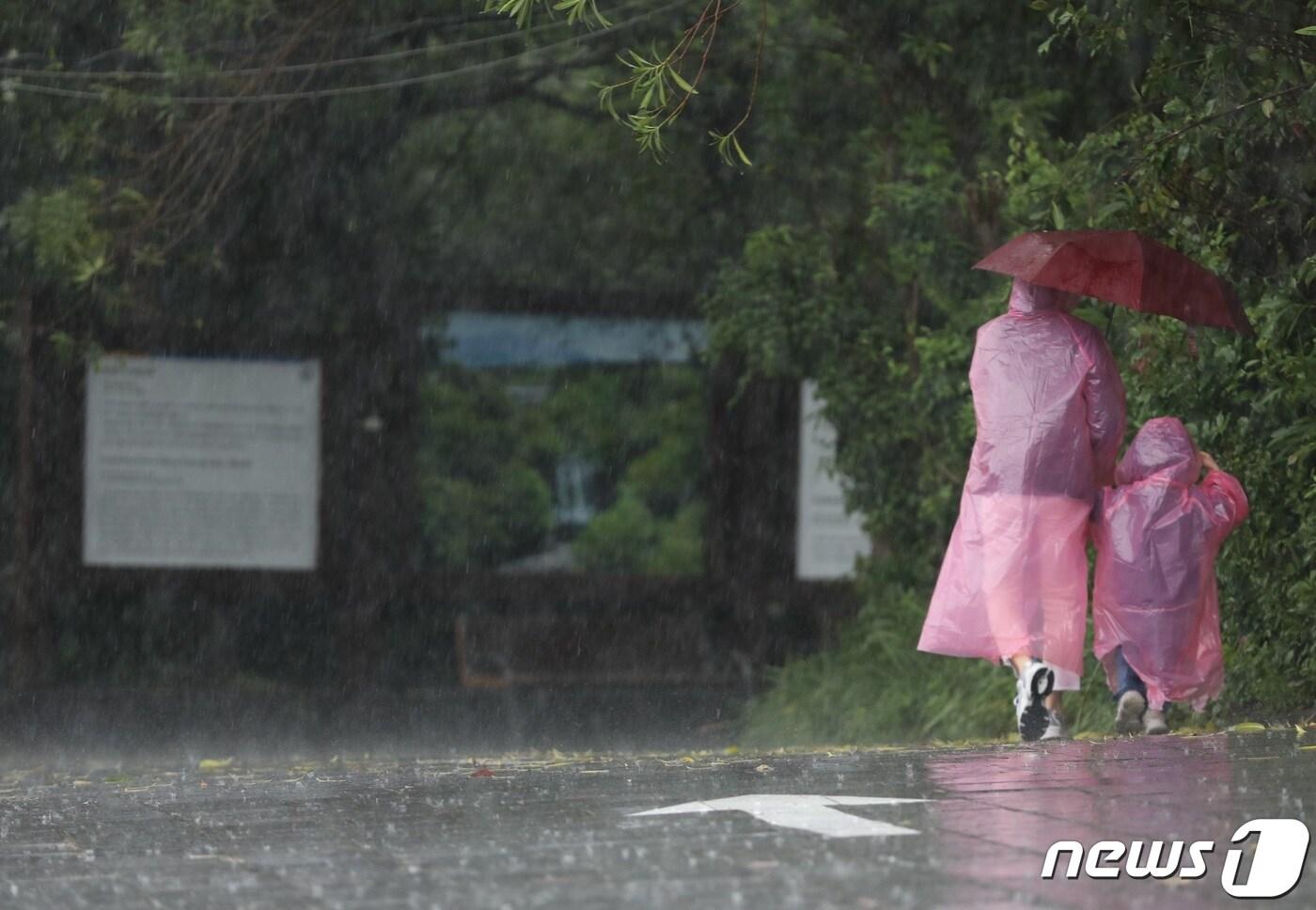 비 내리는 제주(자료사진)/뉴스1