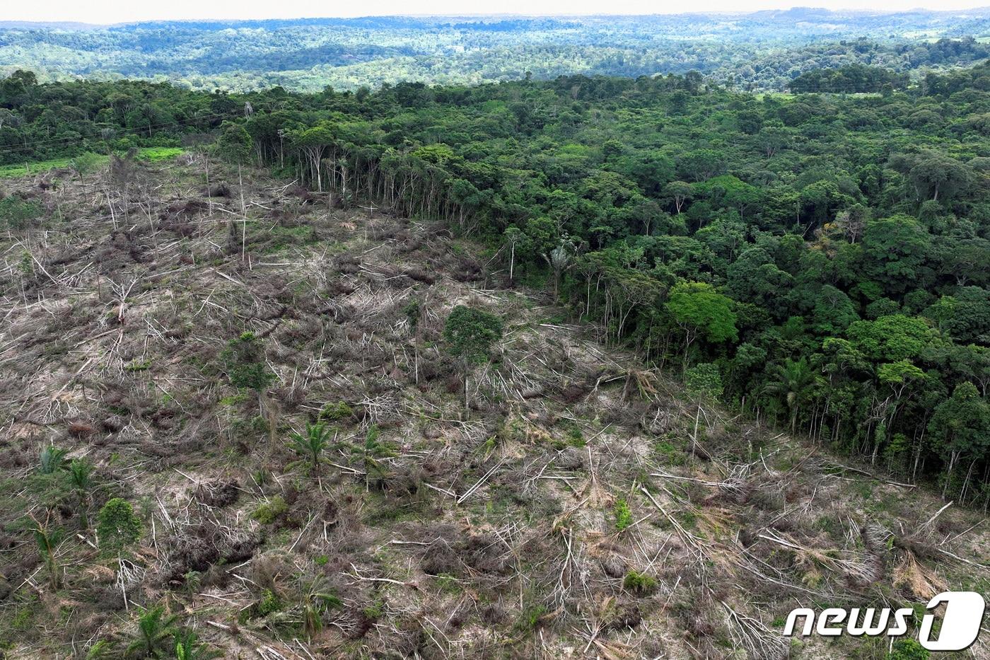 본문 이미지 - 브라질 파라주 우루아라 인근의 황폐화된 아마존 모습 2023.1.21 ⓒ 로이터=뉴스1 ⓒ News1 정윤미 기자