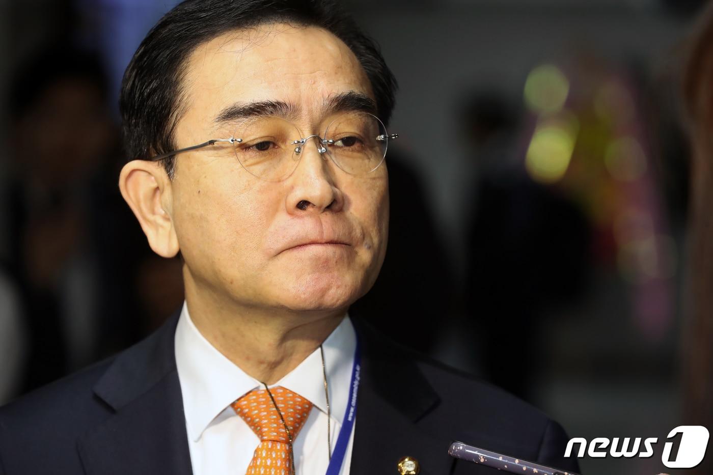 본문 이미지 - 태영호 국민의힘 최고위원 2023.5.9/뉴스1 ⓒ News1 황기선 기자