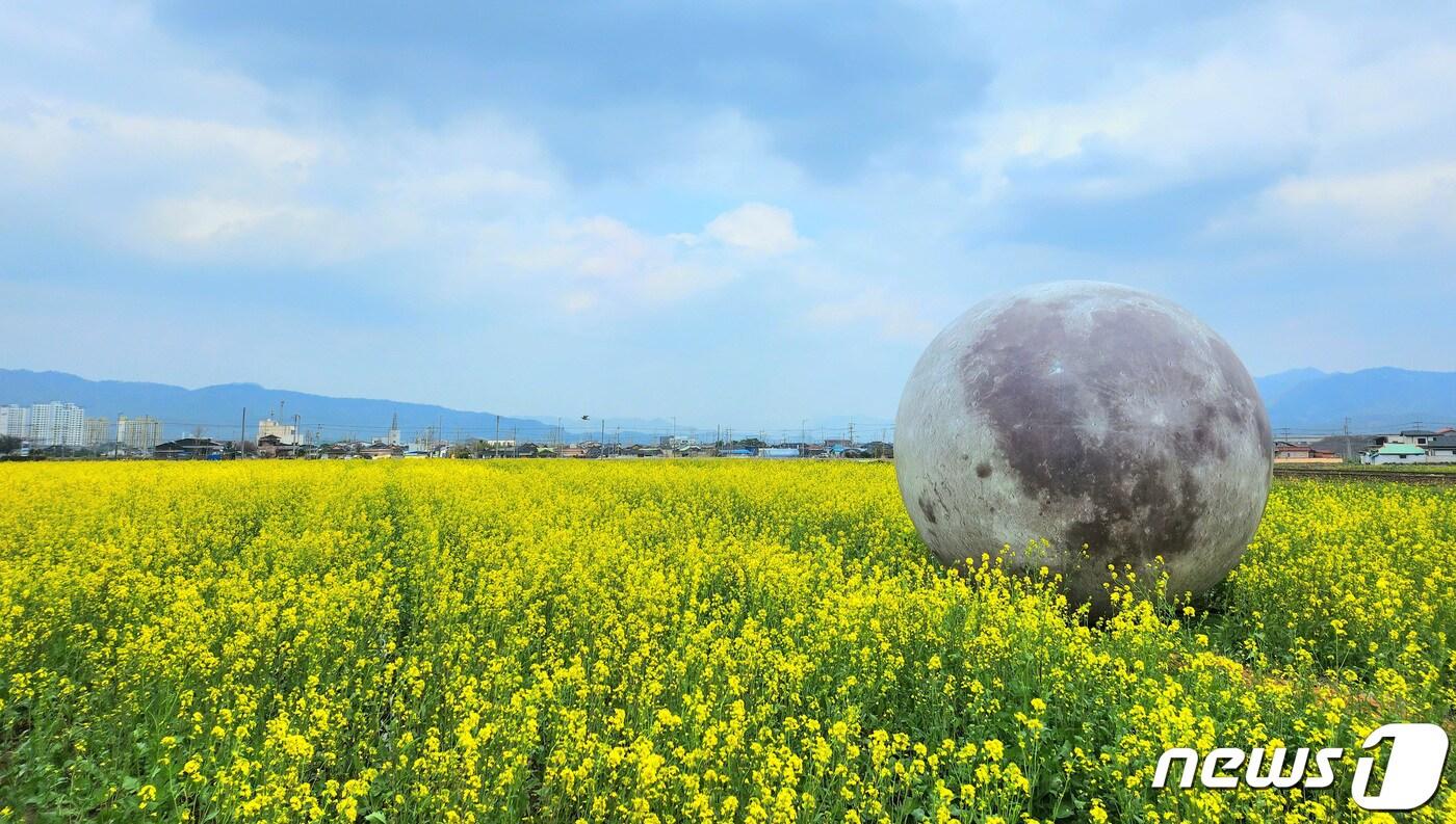 본문 이미지 - '남도답사 1번지' 전남 강진군이 사계절 꽃 피는 도시를 조성해 관광객 유치에 나선다. ⓒ News1