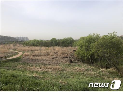 본문 이미지 - 영산강 인근 파크골프장 부지의 모습.뉴스1 DB