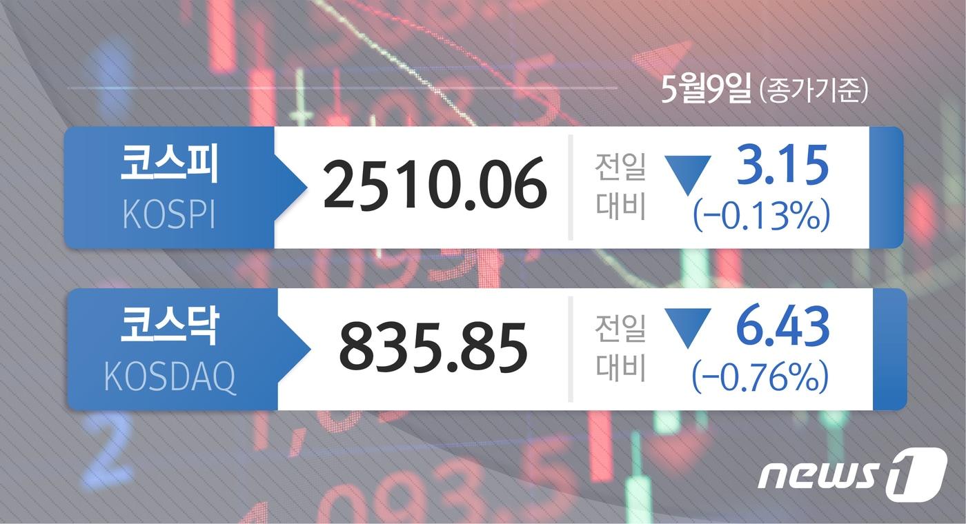 본문 이미지 - ⓒ News1 윤주희 디자이너