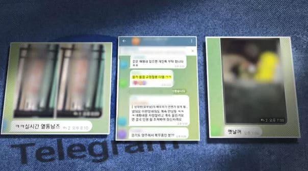 본문 이미지 - (SBS 갈무리)