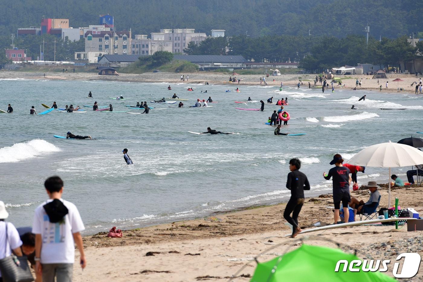 본문 이미지 - 지난 11일 오후 경북 포항시 북구 월포해수욕장에서 시민과 관광객들이 물놀이를 즐기고 있다. 2023.6.11/뉴스1 ⓒ News1 최창호 기자