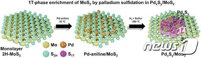 본문 이미지 - 팔라듐 금속 삽입을 통한 단일 원자층 이황화몰리브덴의 구조적 변환 도식도.(인하대 제공)/뉴스1