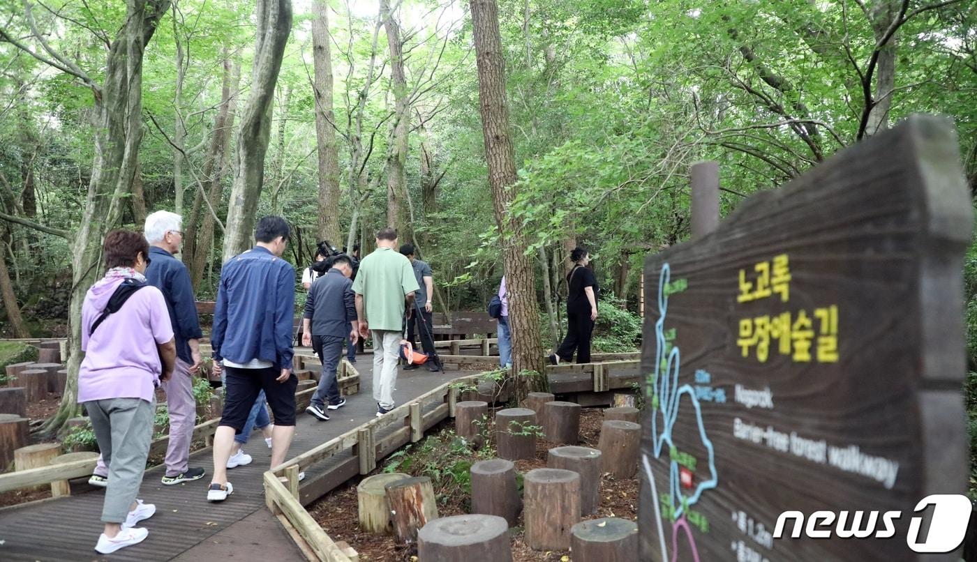 본문 이미지 - 제주 서귀포 치유의 숲에서 열린 제주관광공사의 '오색 블루스 여행'에 참여한 한국농아인협회 소속 농인들이 무장애나눔길을 걷고 있다. 2023.6.13/뉴스1 ⓒ News1 고동명 기자