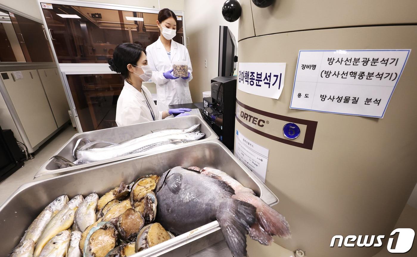 15일 경기도보건환경연구원에서 농수산물검사부 농수산물안전성검사팀 연구원들이 수산물 방사능 안전성 검사를 하고 있다. (공동취재) 2023.6.15/뉴스1 ⓒ News1 김영운 기자