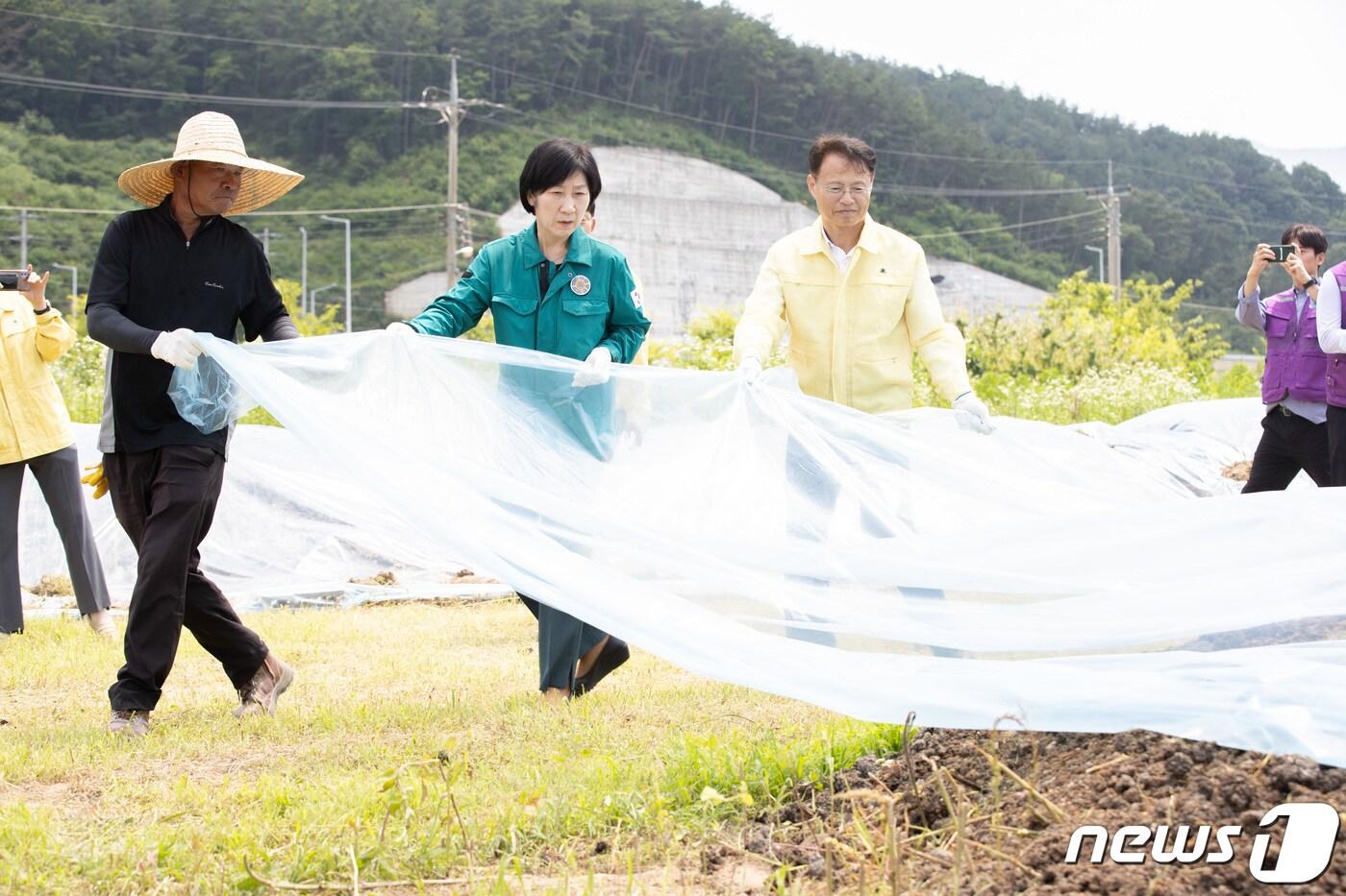 본문 이미지 - 한화진 환경부 장관이 녹조 예방 차원에서 경남 김해시 일원 야적 퇴비 관리 현장을 찾아 하천변 주변에 야적된 퇴비의 적정 관리를 당부하고 야적 퇴비 덮개 설치하고 있다. (환경부 제공) 2023.6.16/뉴스1