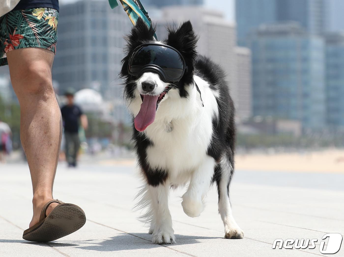 본문 이미지 - 자료사진/ 뉴스1 ⓒ News1