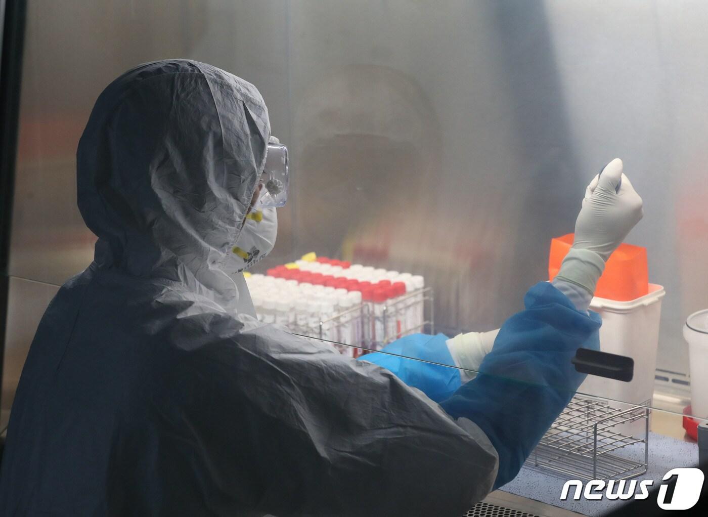 본문 이미지 - 경기 수원시 권선구 경기도보건환경연구원에서 신종감염병팀 연구원들이 메르스 의심검체를 검사하고 있다. .2023.6.19/뉴스1 ⓒ News1 