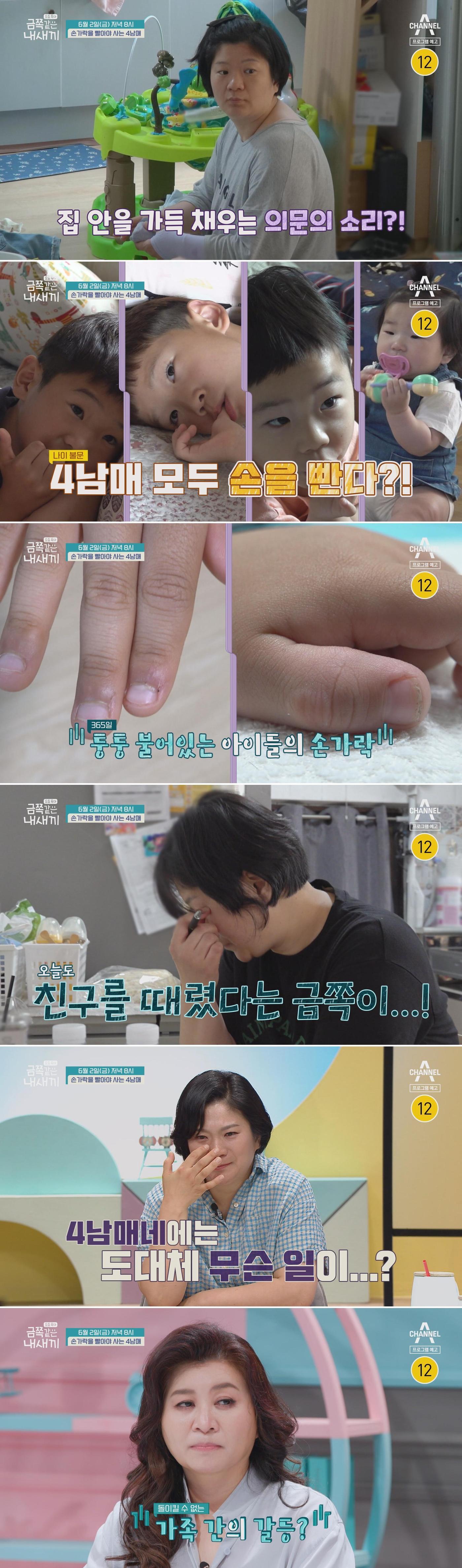 본문 이미지 - 채널A