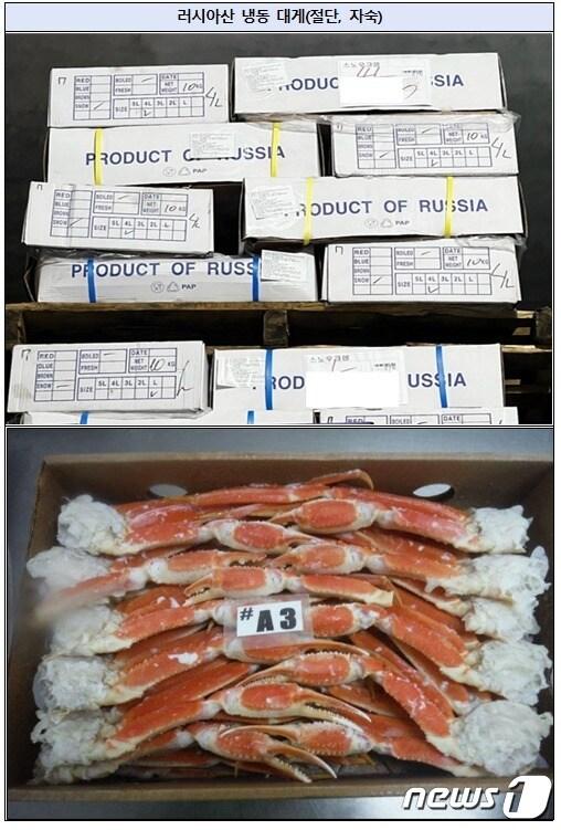 본문 이미지 - 적발된 대게(식품의약품안전처 제공)