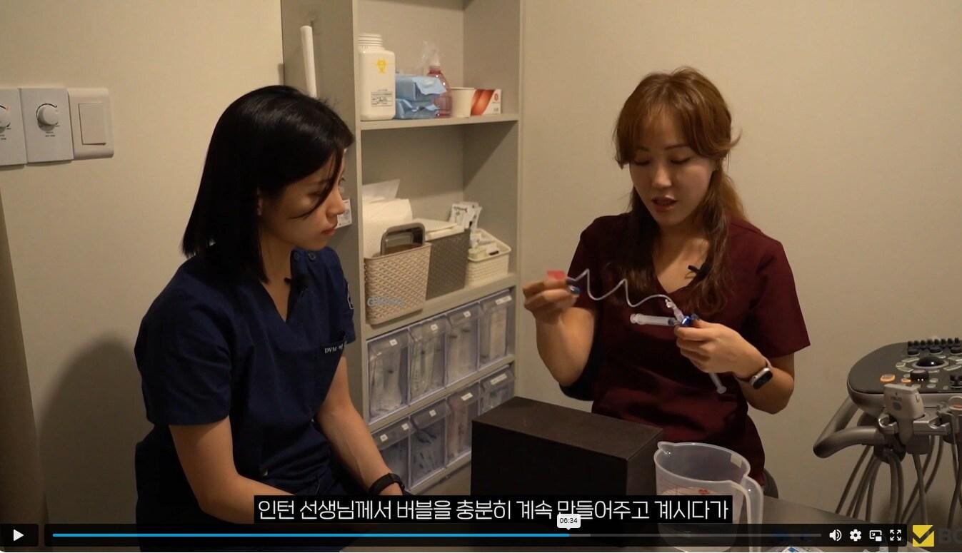 본문 이미지 - 슬기로운 인턴생활 최종편 영상 갈무리(벳아너스 제공) /뉴스1