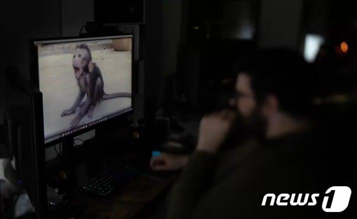 본문 이미지 - 원숭이를 고문해 죽이는 동영상을 시청하고 있는 남성 - BBC 화면 갈무리