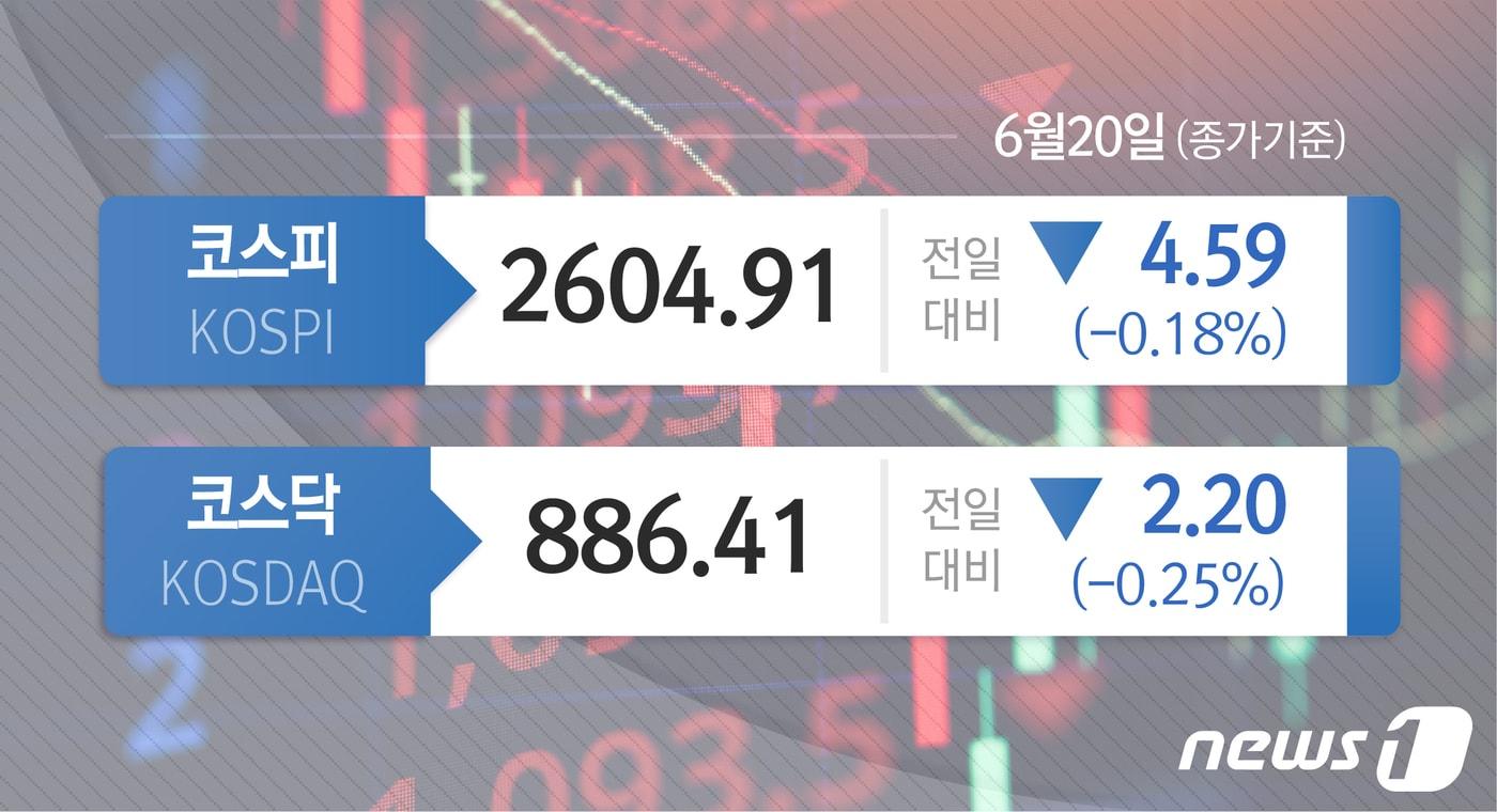 본문 이미지 - ⓒ News1 윤주희 디자이너