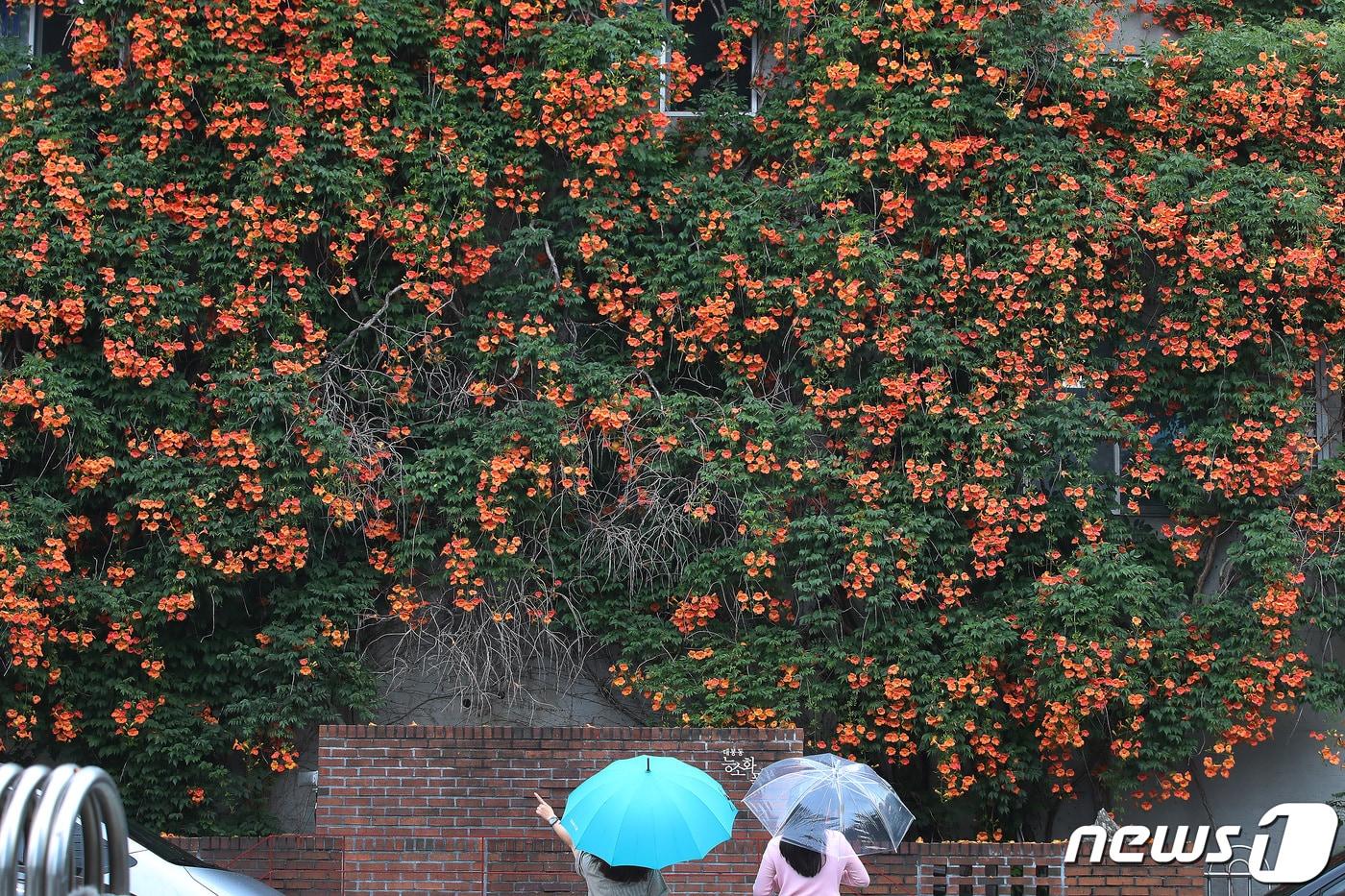  2023.6.21/뉴스1 ⓒ News1 공정식 기자