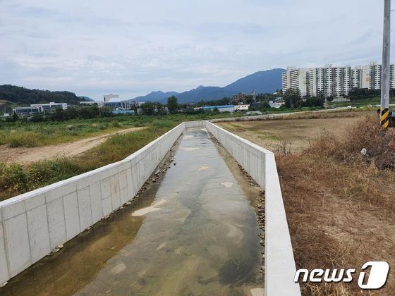 본문 이미지 - 23일 충북 음성군은 여름철 자연 재난에 대비해 정비사업에 속도를 내고 있다고 밝혔다. 사진은 신천지구 분기수로 모습.(음성군 제공)2023.6.23/뉴스1