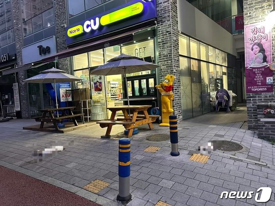 본문 이미지 - 지난 24일 고양이 2마리가 고층건물에서 떨어져 숨졌다는 제보가 접수된 사고 현장.(SNS 화면 캡쳐)