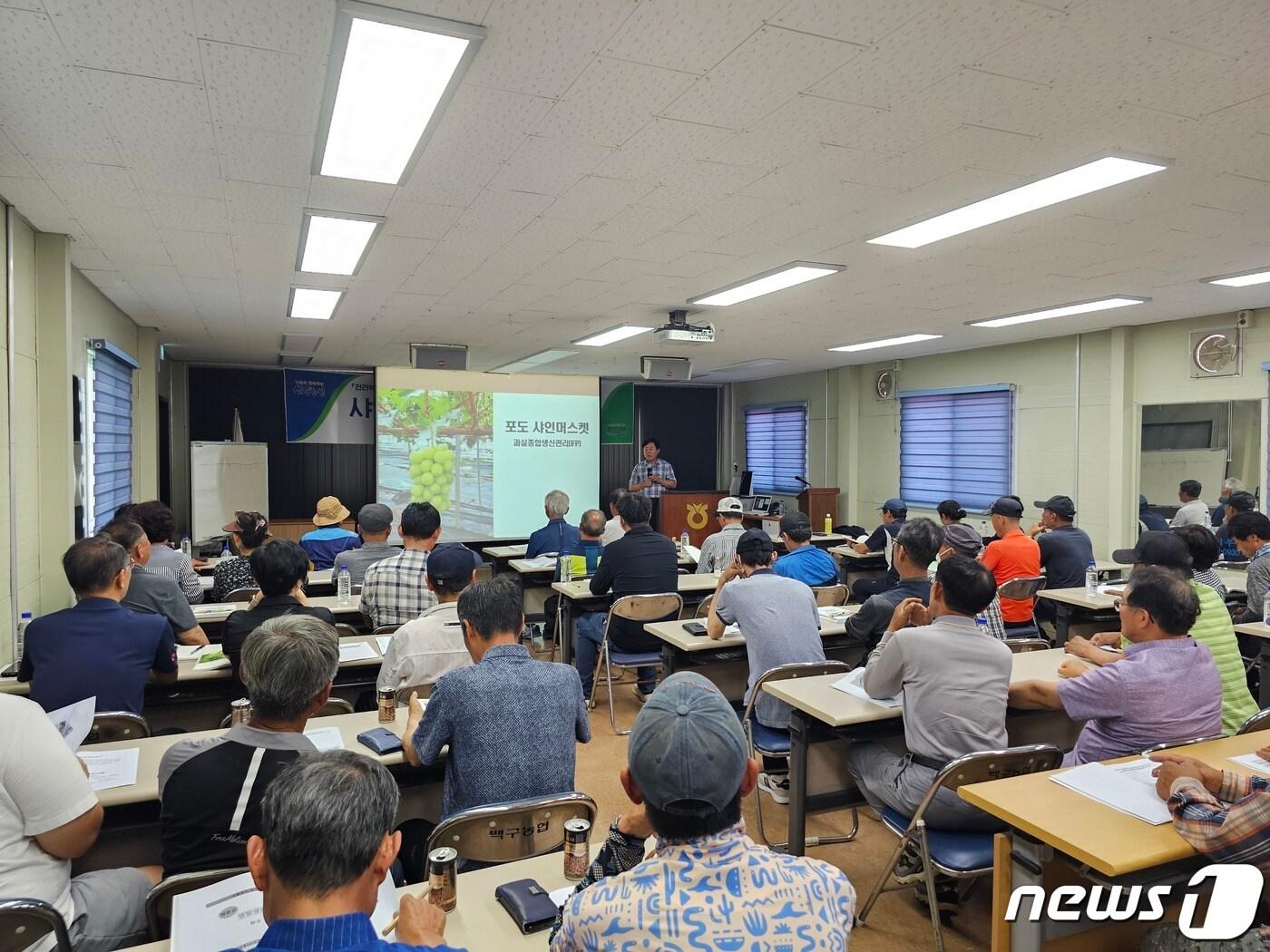 본문 이미지 - 전북농협은 전북도와 함께 27일 김제 백구농협 2층 회의실에서 김제지역 60여 농가를 대상으로 수출용 고품질 샤인머스켓 생산 조직화 교육을 실시했다.(전북농협 제공)2023..6.27/뉴스1