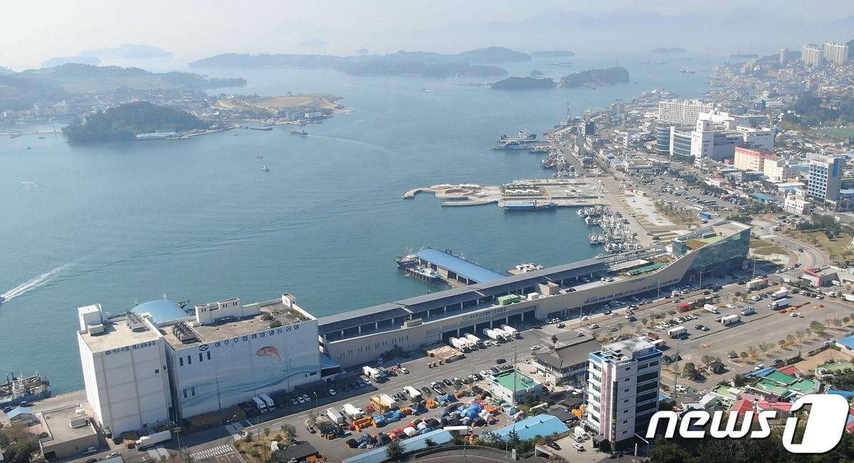 본문 이미지 - 전남 여수시 국동항 전경. 뉴스1
