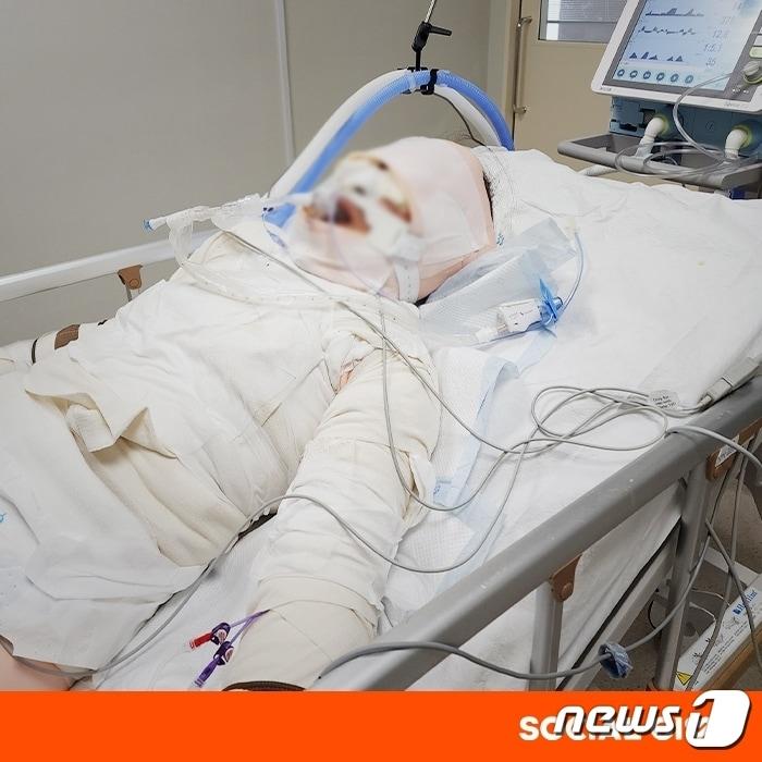 본문 이미지 - 티몬 소셜기부(티몬 제공)