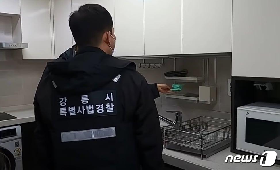 본문 이미지 - 강릉시 숙박·농어촌민박·음식 업소 점검.(강릉시 제공) 2023.6.28/뉴스1