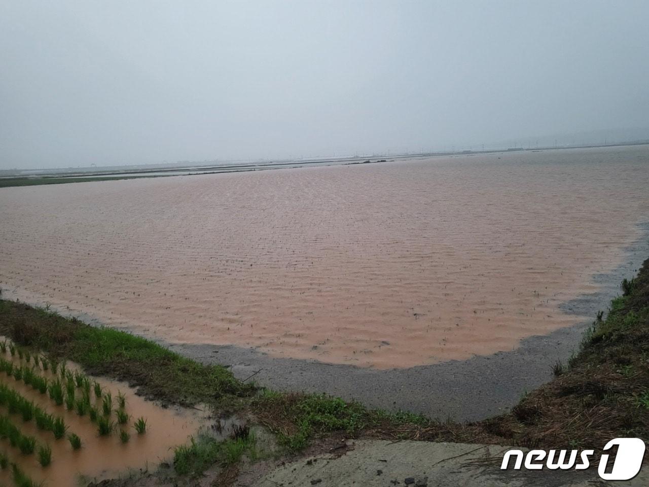 본문 이미지 - 밤 사이 내린 폭우로 전남 함평군의 농경지가 침수돼 있다.(전남도 제공) 2023.6.28/뉴스1 