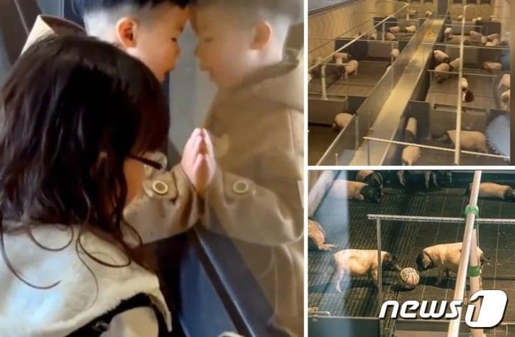 본문 이미지 - 관련 시각물 - SCMP 갈무리