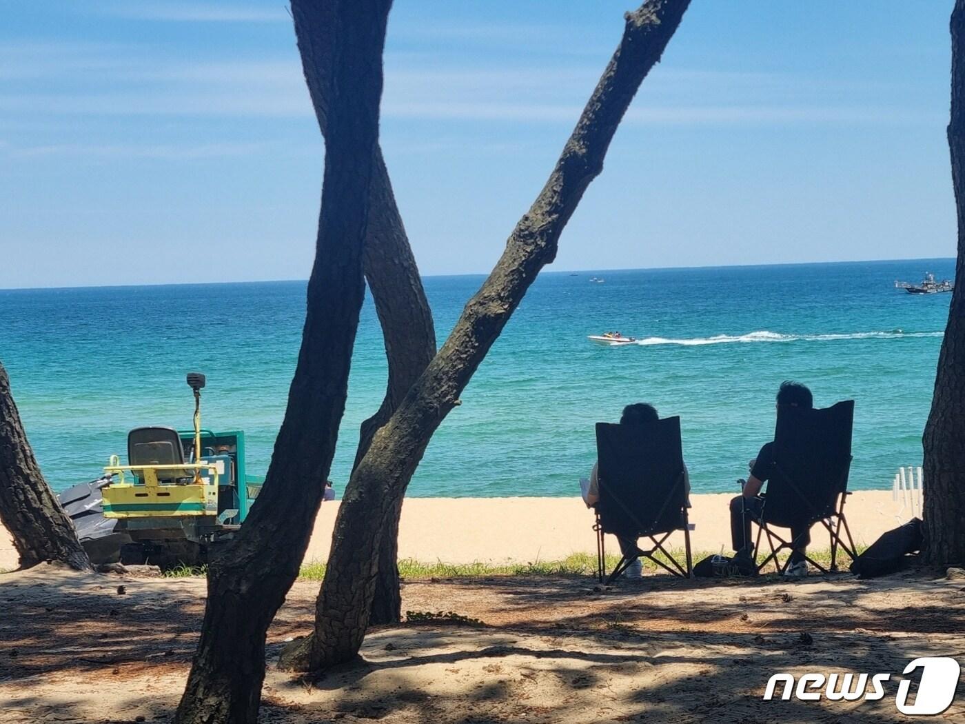 본문 이미지 - 강원 강릉 송정해변을 찾은 관광객들이 솔밭 그늘에서 무더위를 날리고 있다. (뉴스1 DB)ⓒ News1 윤왕근 기자