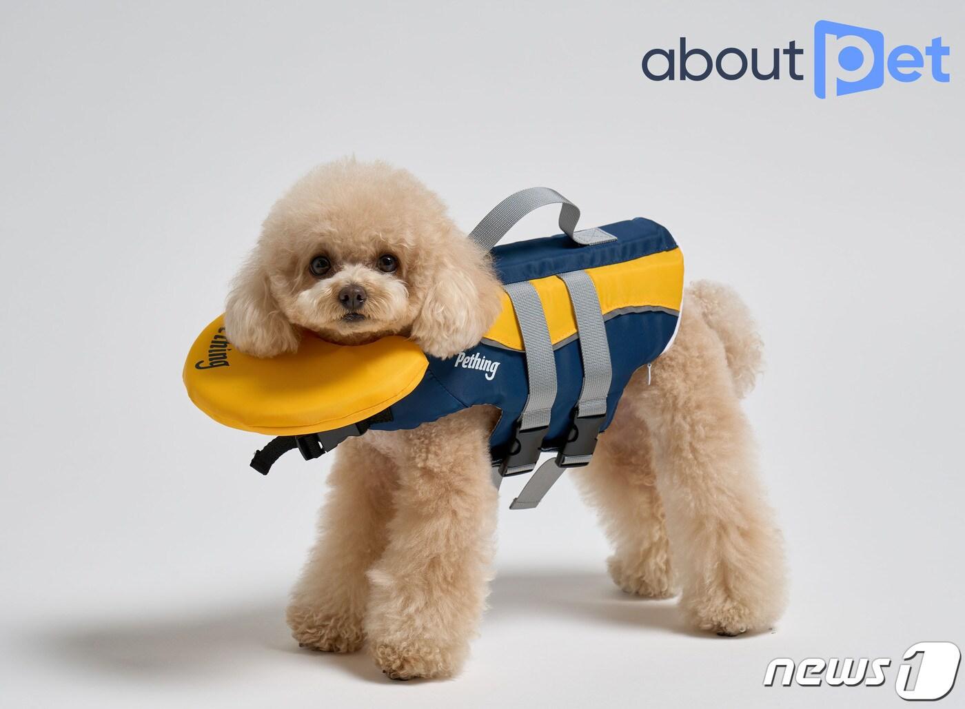 본문 이미지 - 어바웃펫에서 판매하는 펫띵 수영왕 구명조끼를 애완견이 착용하고 있다.&#40;GS리테일 제공&#41;
