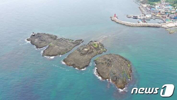 본문 이미지 - 포항 오도리 주상절리 전경. (문화재청 제공) 