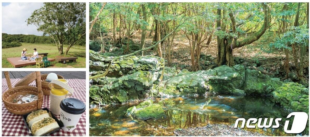 본문 이미지 -  머체왓숲길(제주관광공사 제공)