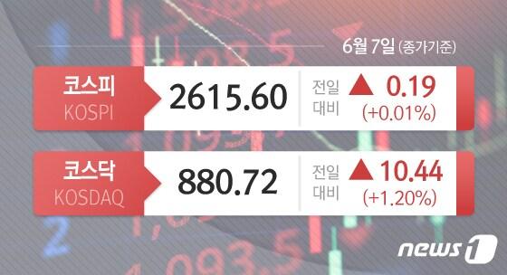 본문 이미지 - ⓒ News1 김지영 디자이너