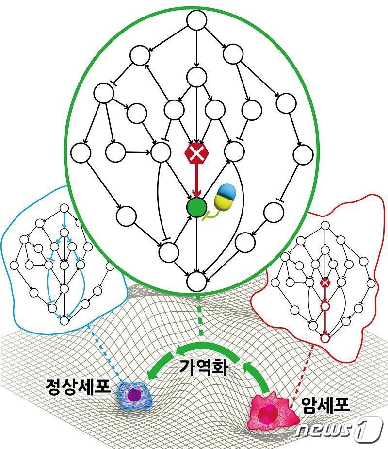 본문 이미지 - 연구결과 모식도.(KAIST 제공)/뉴스1