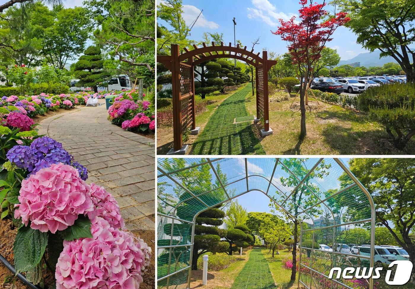 구미시청사 내에 조성된 산책로. 2023.6.8/뉴스1