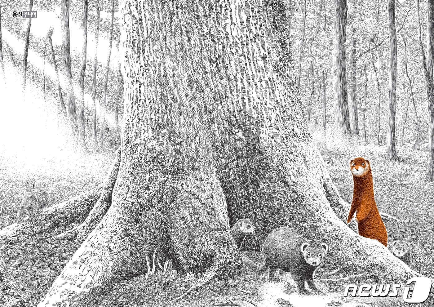 본문 이미지 - '오늘 숲속에서는' 컬러링지