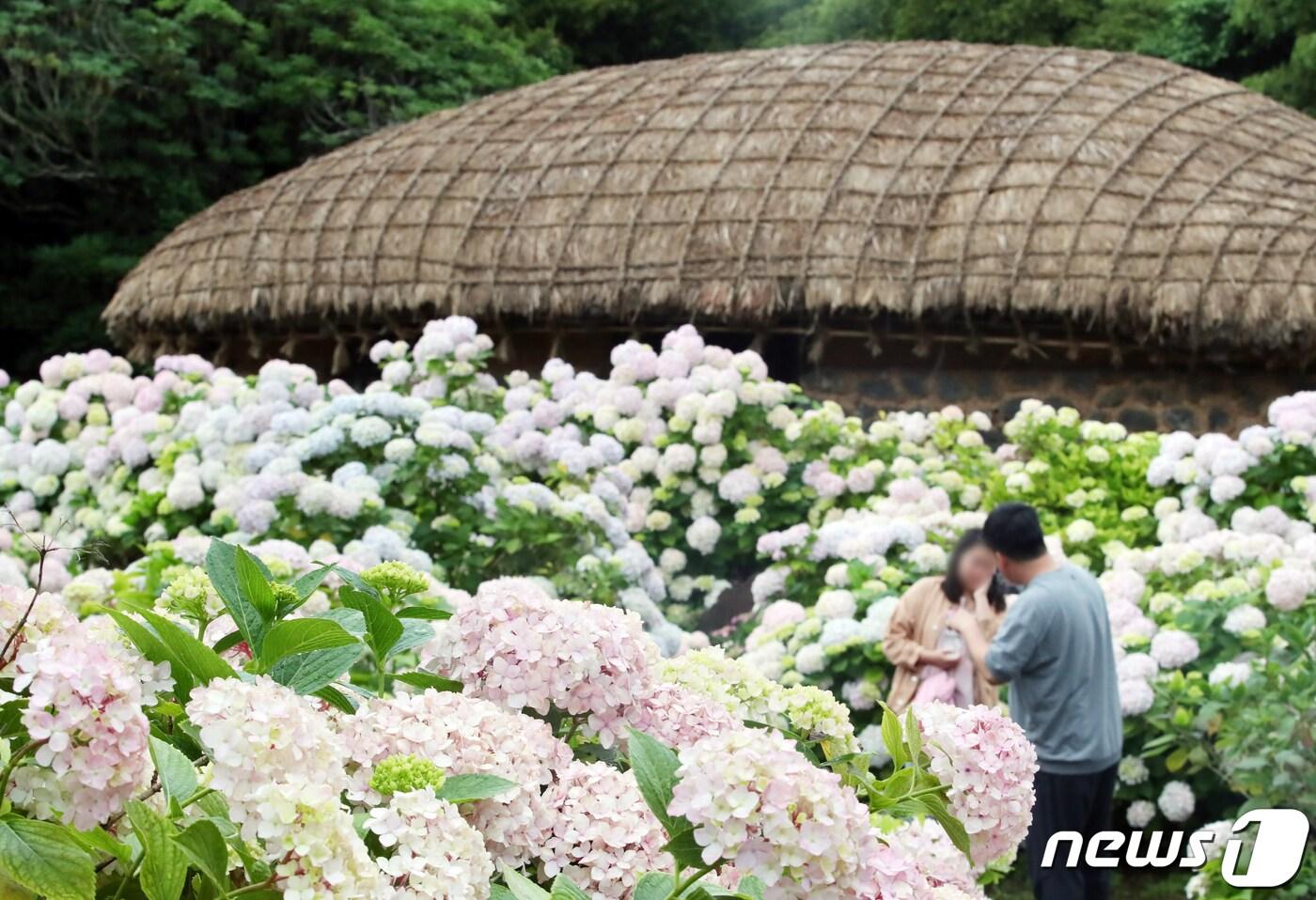 본문 이미지 - (사진은 기사 내용과 무관함) / 뉴스1 ⓒ News1