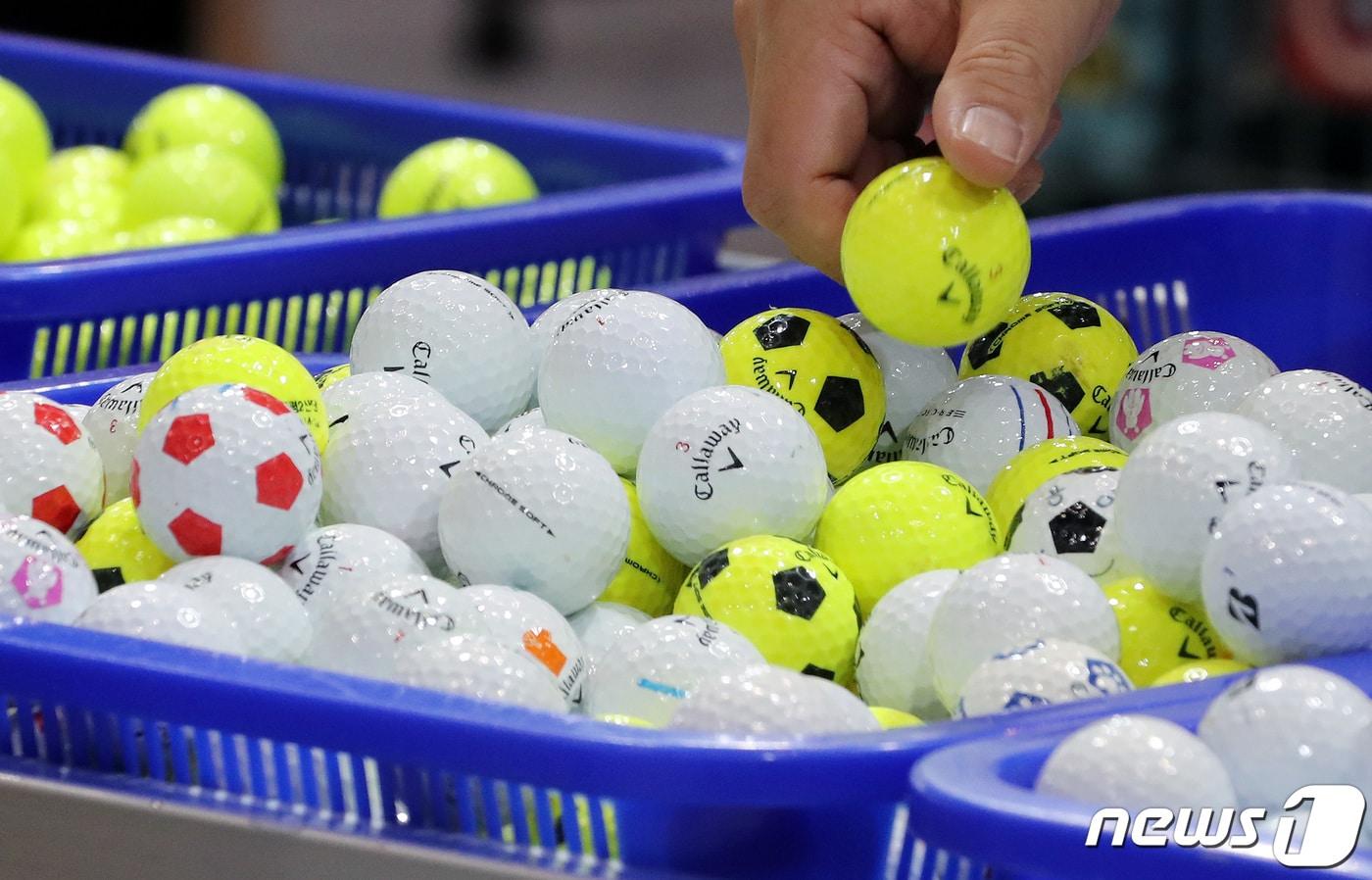 본문 이미지 - (사진은 기사 내용과 무관함) / 뉴스1 ⓒ News1