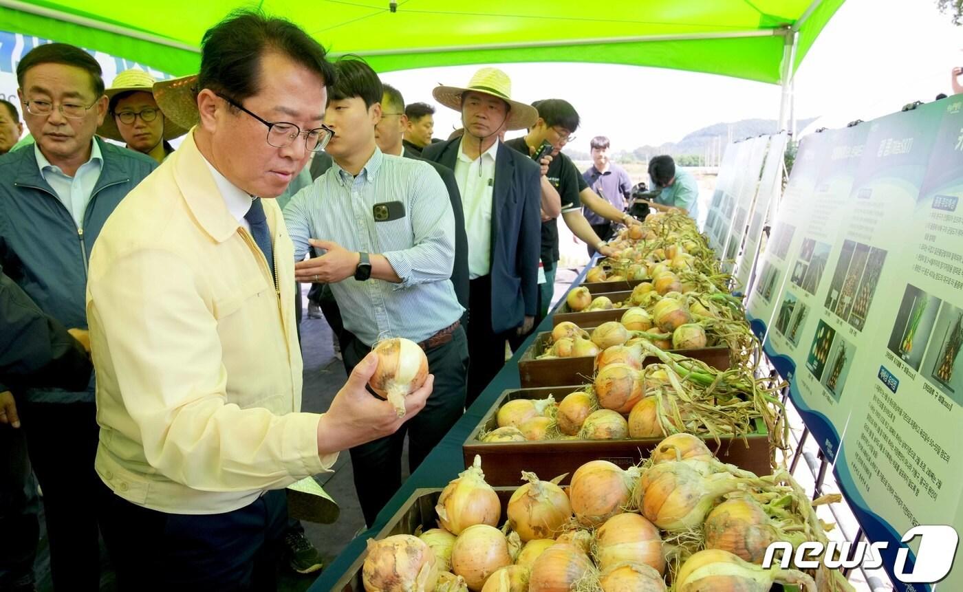 본문 이미지 - 문금주 전라남도 행정부지사가 8일 무안군 몽탄면 다산리에서 개최된 ‘국산 양파 품종 평가 및 관련 기술 시연회’에서 국산 주요 품종에 대한 설명을 듣고 양파를 살펴보고 있다. (전남도 제공) 2023.6.8/뉴스1 ⓒ News1 전원 기자